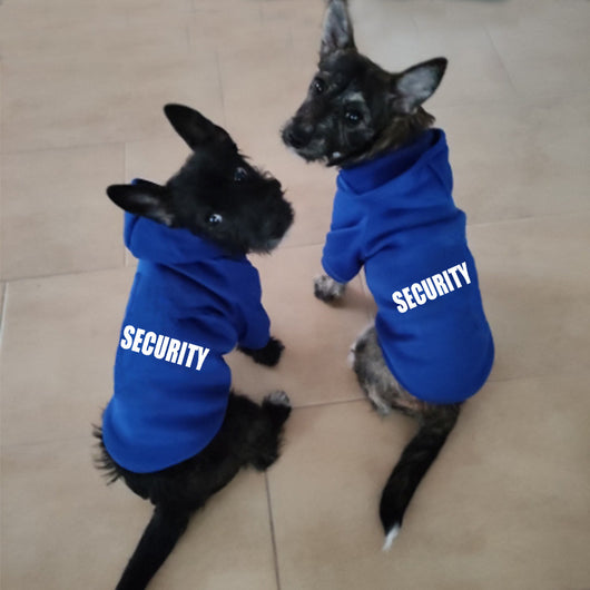 Ropa Térmica para Mascotas en Colores Lisos - Image 2