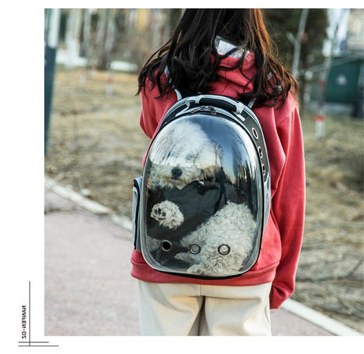 Mochila Transportadora Transparente Expandible para Mascotas - Image 24