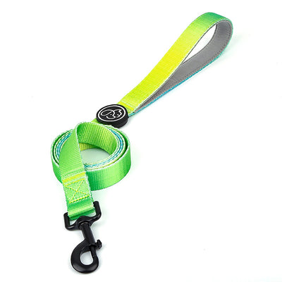 Arnés en Forma de I para Perros Grandes - Correa y Collar de Control para Samoyedos - Image 7