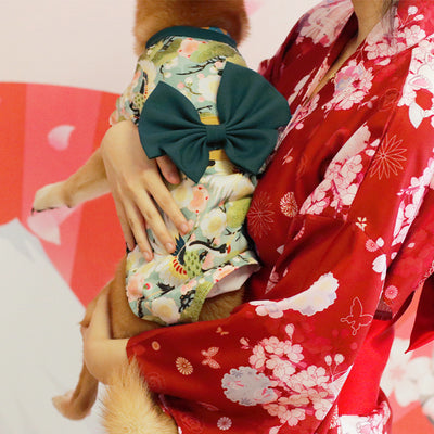 Kimono Fresco para Shiba Inu - Ropa Ligera Primavera y Verano - Image 5