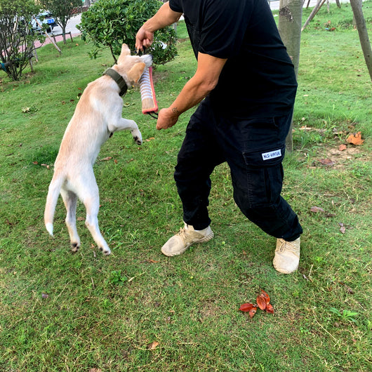 Palo de Cáñamo 30cm para Morder - Juguete Resistente para Entrenamiento Canino - Image 9