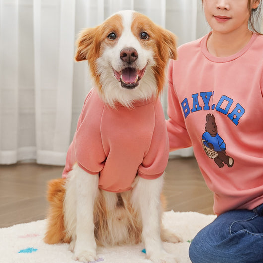 Large dog wearing a teal fleece-lined sweatshirt with 'BAYLOR' text and a bear graphic on the back. - Image 18