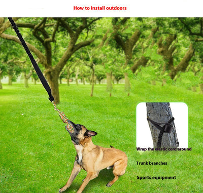 Grey elastic dog tug-of-war rope with two colorful knotted cotton rope ends and a black suction cup. - Image 13