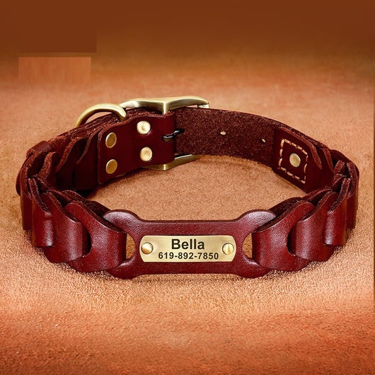Collar de Cuero Trenzado para Perros Medianos y Grandes - Image 11