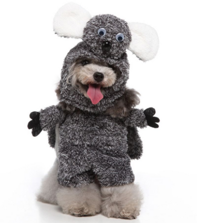 Disfraz para Mascotas Bípedo Divertido - Ropa de Perro para Halloween y Navidad - Image 8