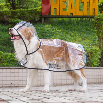 Impermeable Transparente para Perros Pequeños y Medianos con Capucha - Image 10