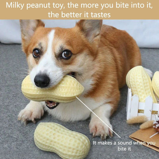 Juguetes de Goma para Perros Pequeños - Alivio de Aburrimiento y Limpieza Dental - Image 16