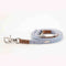 Blue 1 X 120 cm Traction Leash