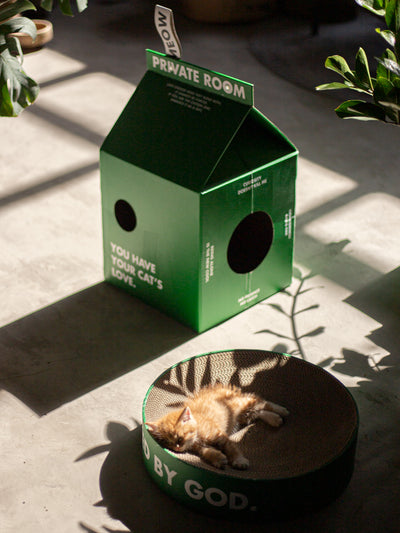 Rascador Corrugado para Gatos - Afilador de Uñas - Image 5