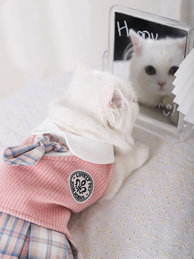 Vestido para Mascota Teddy Corgi Peluche Combate Bichón Nieve - Image 2