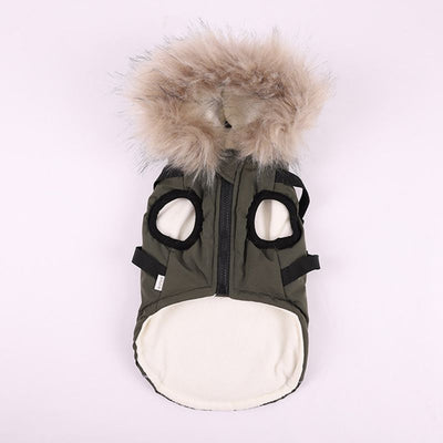 Abrigo de Algodón para Perros Bichon - Ropa de Otoño e Invierno con Correa - Image 18