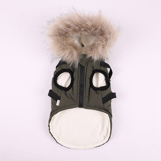 Abrigo de Algodón para Perros Bichon - Ropa de Otoño e Invierno con Correa - Image 18