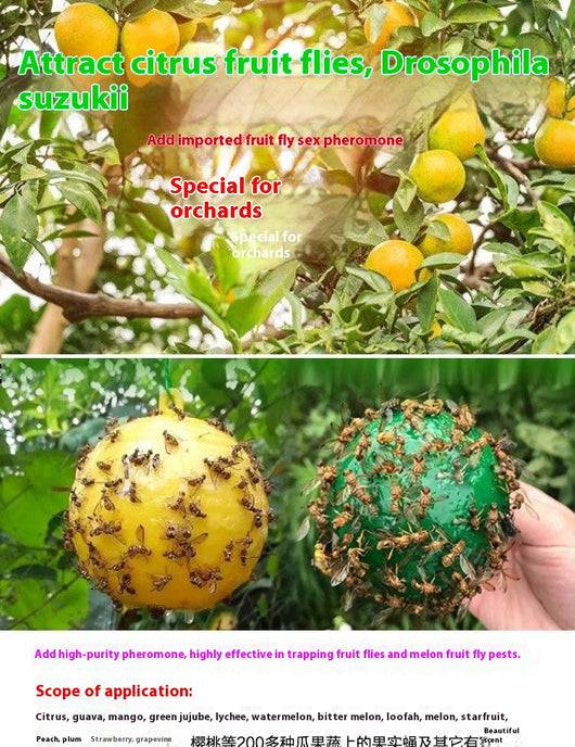 Bola Adhesiva Atrapamoscas de la Fruta Aroma Naranja - Image 9
