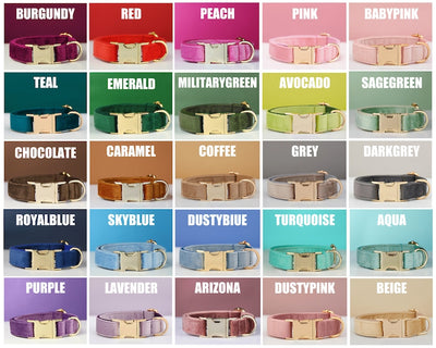 Collar y Correa para Perro de Terciopelo Personalizable con Moño - Image 8