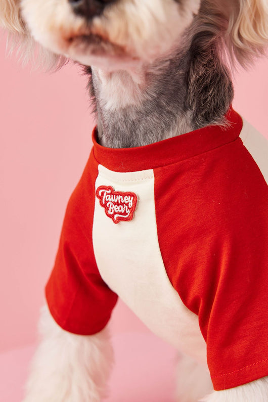 Ropa de Verano para Perros con Contraste de Colores - Image 31