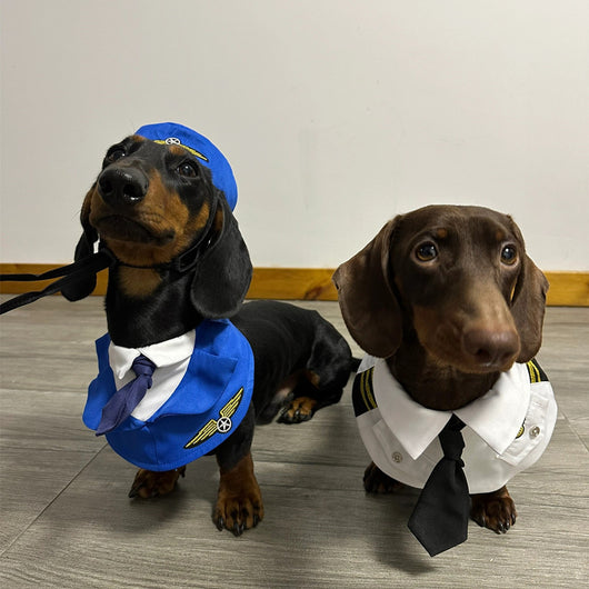 Disfraz Halloween para Perros Salchicha - Traje Divertido y Cómodo - Image 11