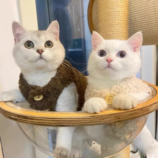 Chaleco Abrigador de Lana de Cordero para Gatos - Diseño Cálido e Adorable