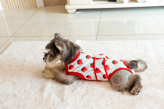 Ropa Quirúrgica Protectora para Mascotas - Anti-lamido Universal - Image 13