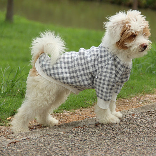 Suéter Deportivo para Perros con Cuello Alto Resistente al Viento - Image 23