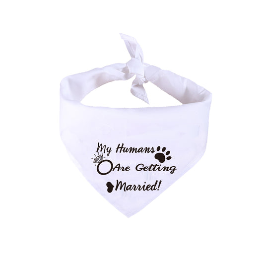 Pañuelo Blanco para Perro - Joyería Nupcial San Valentín - Image 6