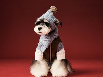 Gorro y Bufanda de Lana para Mascotas - Conjunto Abrigador para Perros - Image 12