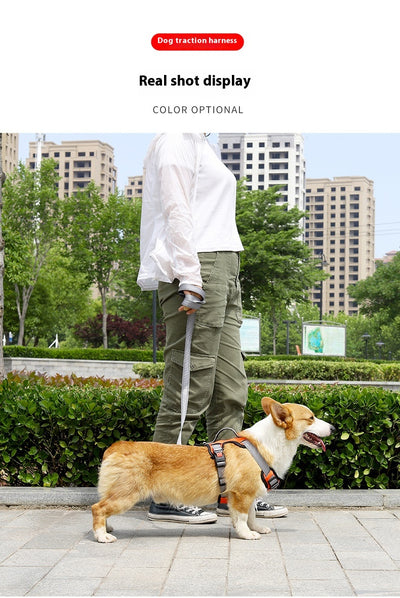 Arnés Chaleco para Perro con Cuerda de Sostén Manual - Image 18