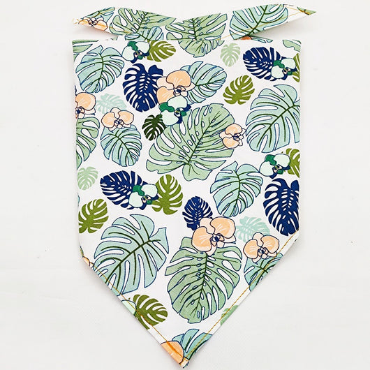 Pañuelo Bandana Absorbente para Mascotas con Diseño Frutal - Image 4