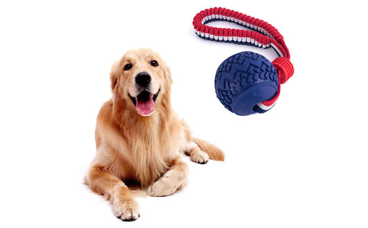 Juguete para Perro con Cuerda y Pelota - Resistente y Seguro para Perros Pequeños y Medianos - Image 13
