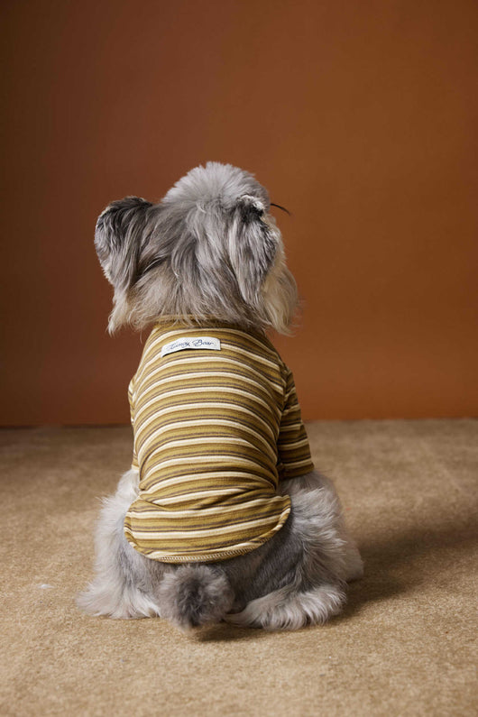 Camiseta Interior Ajustada para Perros Maltés y Schnauzer - Tejido Hipoalergénico - Image 2