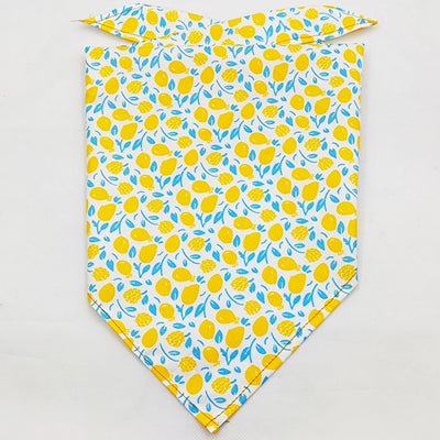 Pañuelo Bandana Absorbente para Mascotas con Diseño Frutal - Image 47
