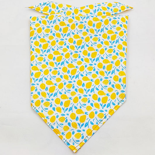 Pañuelo Bandana Absorbente para Mascotas con Diseño Frutal - Image 47
