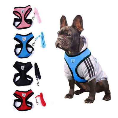 Arnés de Seguridad para Mascotas en Auto - Image 3