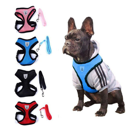 Arnés de Seguridad para Mascotas en Auto - Image 3