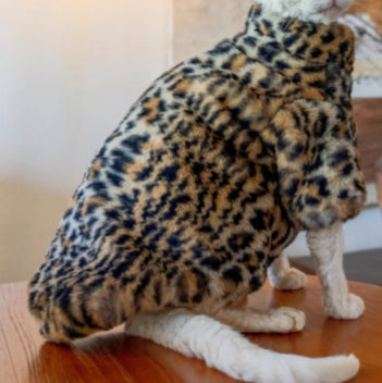 Ropa Térmica para Gatos sin Pelo - Abrigo Corto de Felpa Leopardo - Image 4