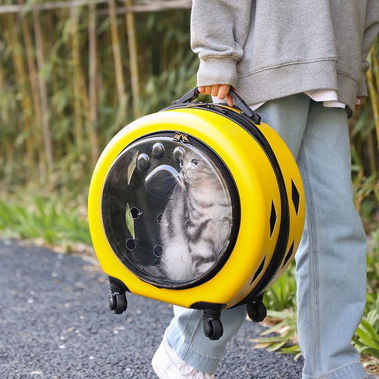 Bolsa Transportadora Transparente Reforzada para Mascotas - Gatos y Perros - Image 2
