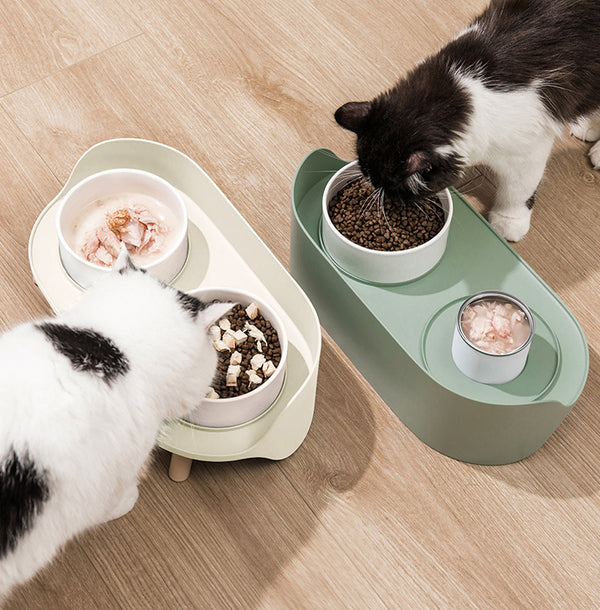 Comedero Doble Inclinado para Gatos y Perros - Protege Cuello con Diseño Antiderrame