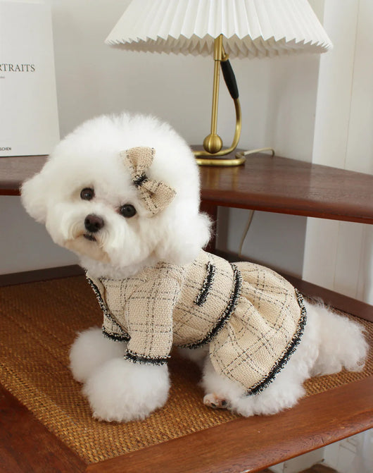 Vestido Princesa para Mascotas - Ropa Elegante para Perros y Gatos - Image 18