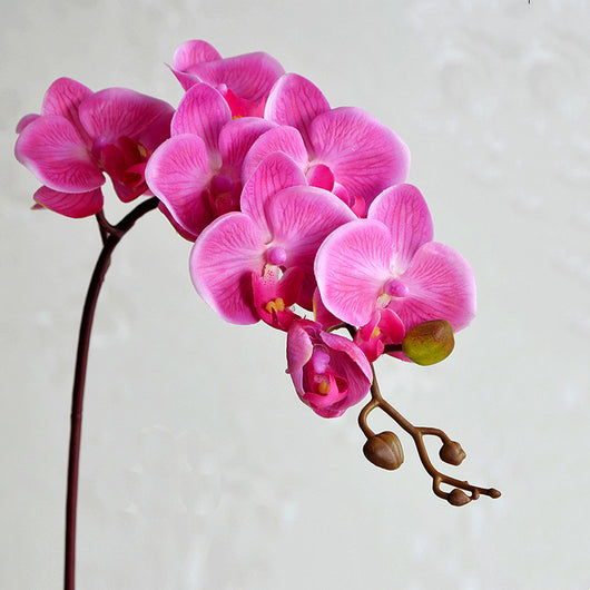 Orquídea Phalaenopsis Artificial de Piso - Flor Decorativa en Seda - Image 4