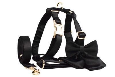 Arnés de Tracción con Cuerda para Perros - Image 14