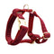 Dog vest1