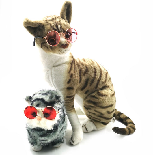 Gafas para Mascotas con Estilo Excéntrico - Image 25