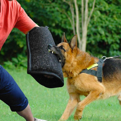 Mangas de Entrenamiento Canino Resistentes al Desgarre con Protección Total - Image 15