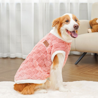 Ropa de Algodón para Mascotas - Colección Otoño Invierno - Image 5