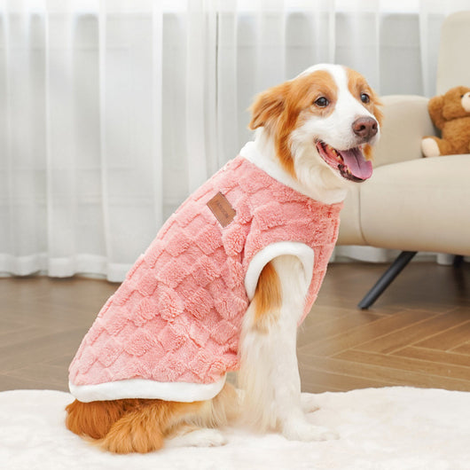 Ropa de Algodón para Mascotas - Colección Otoño Invierno - Image 5