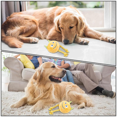 Juguetes Chirriantes para Perros con Diseño de Nudo Fuerte - Juguetes de Dentición Masticables - Image 16