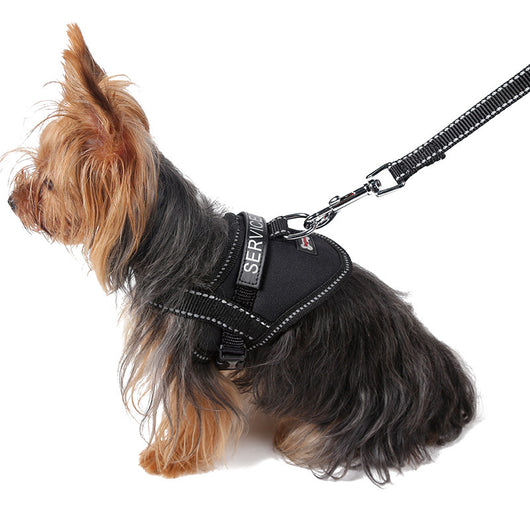 Arnés Reflectante para Perro con Cuerda de Tracción y Banda de Seguridad - Image 8