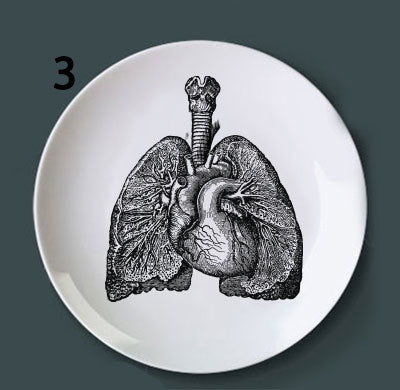 Placa Decorativa de Anatomía Ósea - Image 9