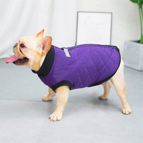 Chaleco Bucket de Algodón para Perros - Estilo Francés
