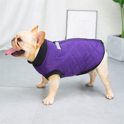 Chaleco Bucket de Algodón para Perros - Estilo Francés - Image 2