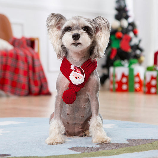Suéter Navideño Tejido Personalizado para Mascotas - Image 8